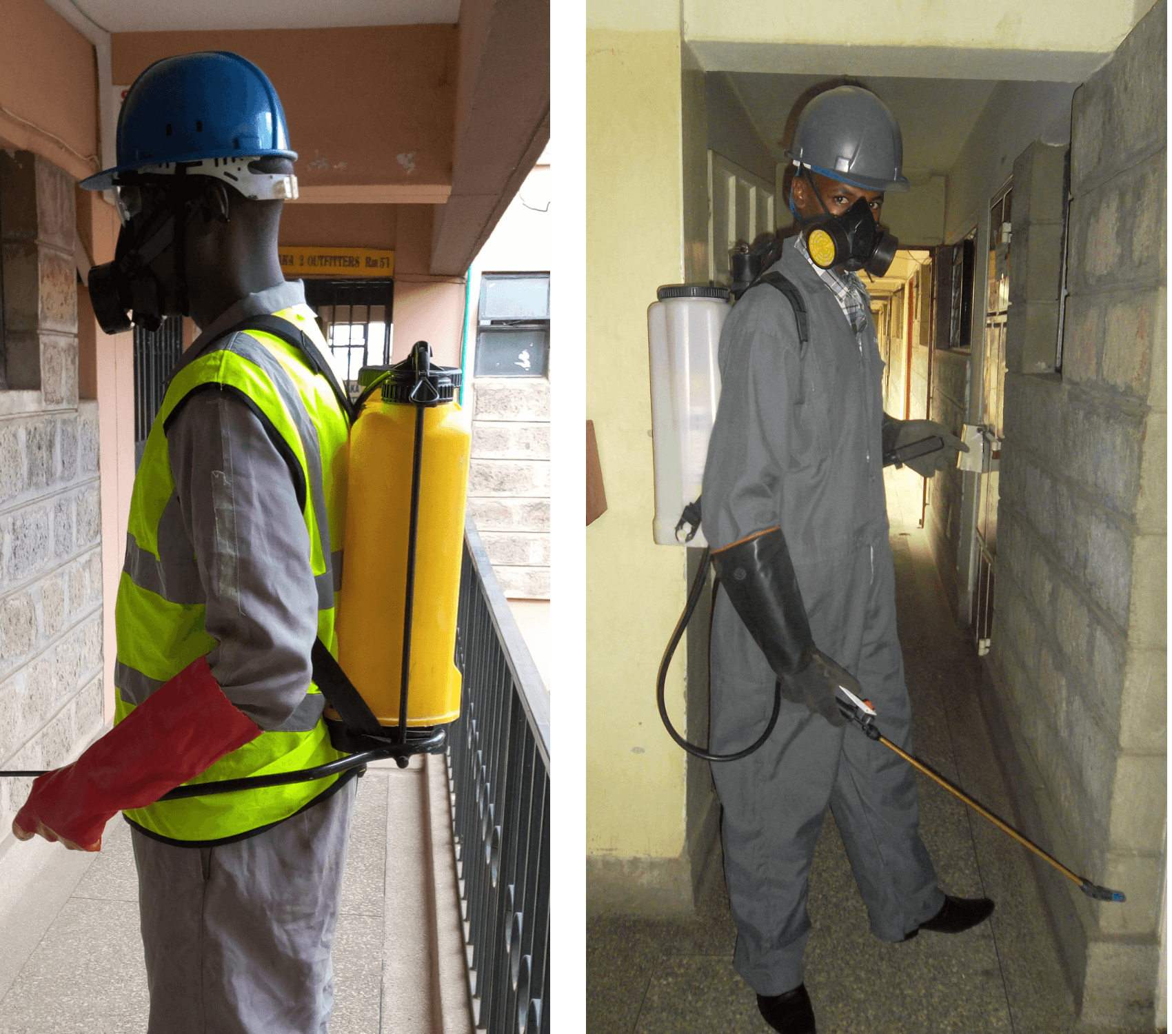 pest-control-nairobi-aimat-company (1)